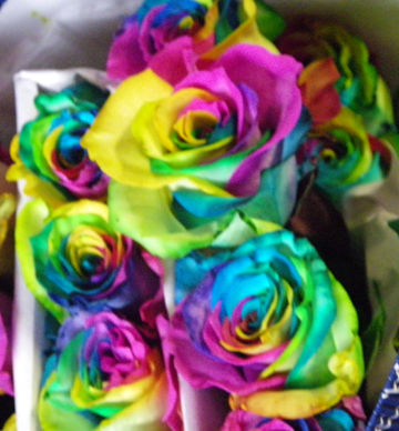 tie dye rose.jpg